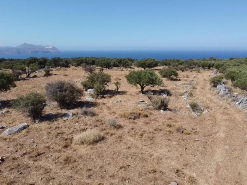 Kokkino Chorio Atemberaubendes Grundstück mit Meerblick in Kokkino Chorio Grundstück kaufen